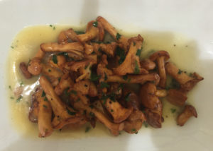 Local Chanterelles at The Compound
