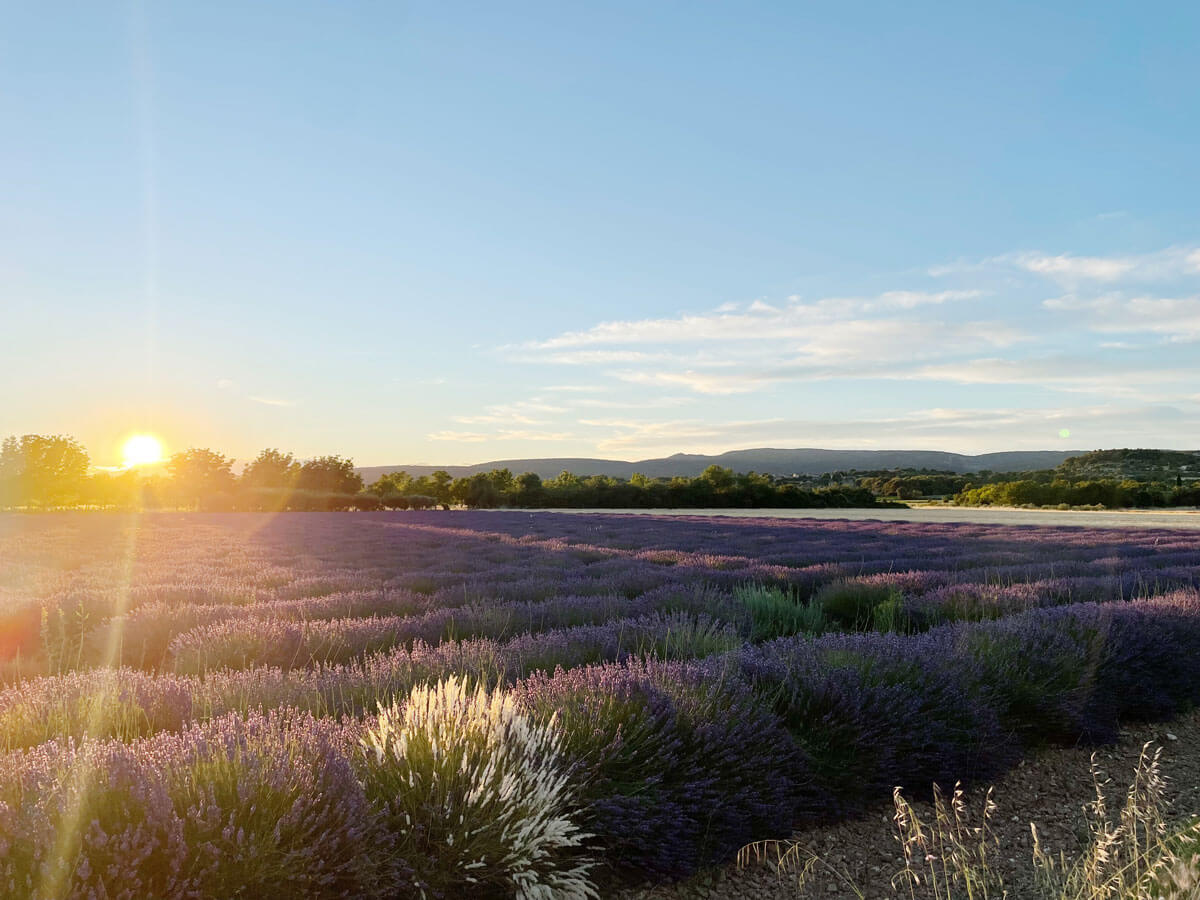 Domaine Les Martines - Provence