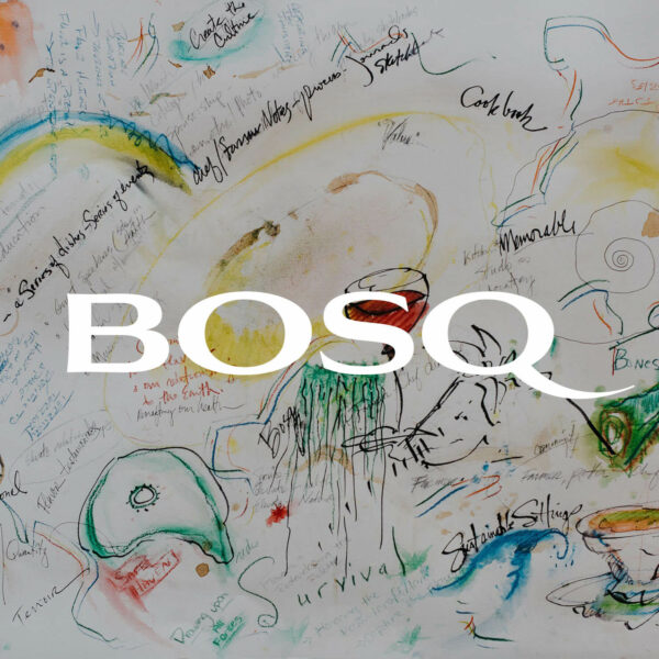Bosq Aspen Website Redesign