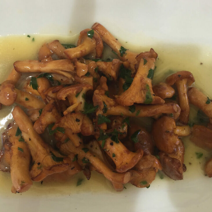 Local Chanterelles at The Compound